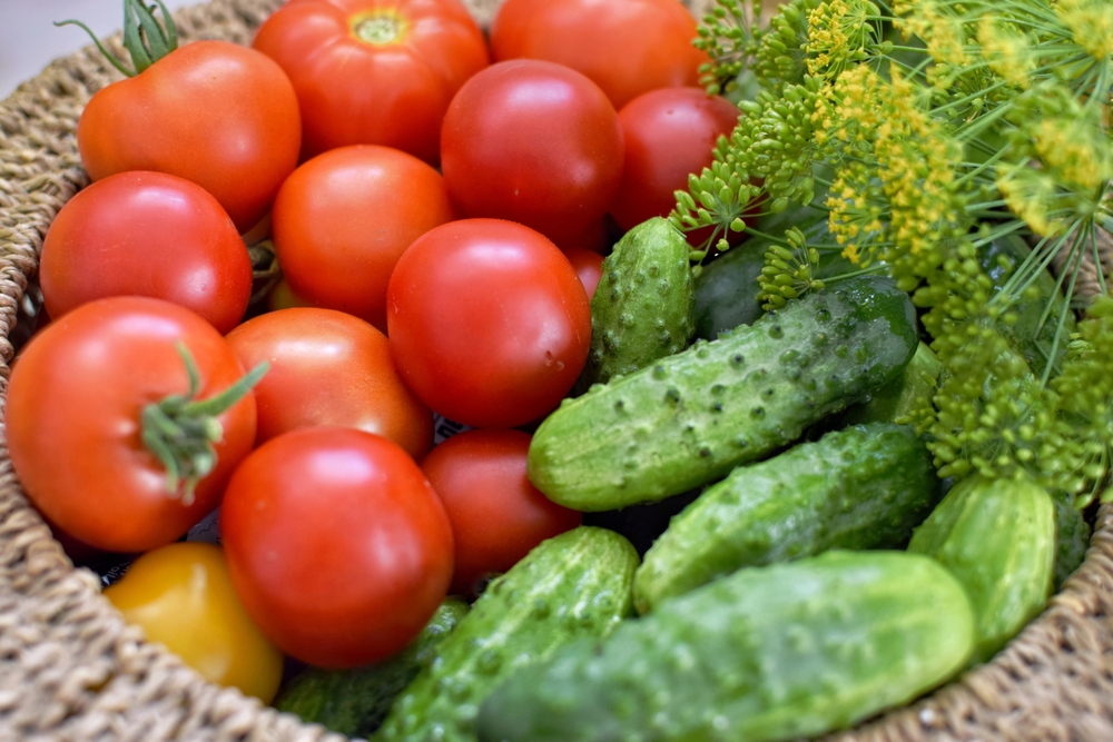 pomodori e cetrioli da giardino